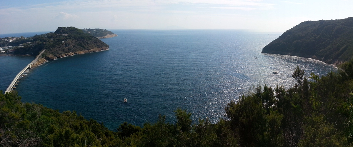 Riserva Naturale Statale di Vivara 
